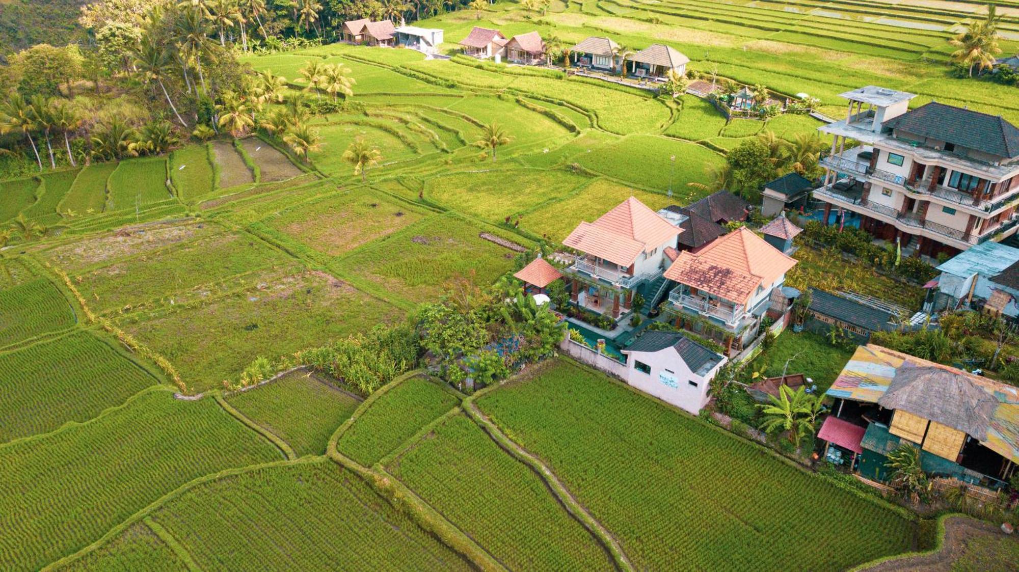 Raditya Villa Ubud Zewnętrze zdjęcie